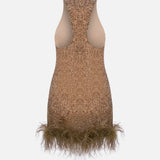 Ilia Silk Sequin Mini Dress with Feather Trim in Brown Sequin