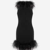 Puri - Feather Trimmed Halter Neck Mini Dress